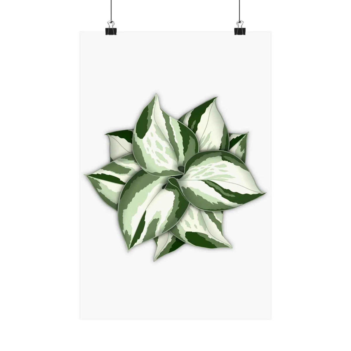 Manjula Pothos Botanical Print – Unframed Wall Art, view 3