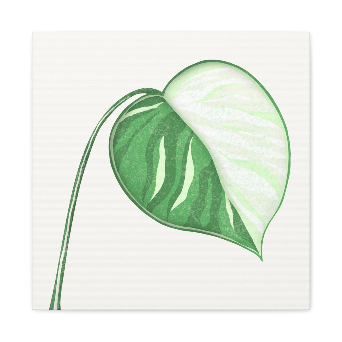 Monstera Albo Canvas Print – Botanical Wall Art, view 15