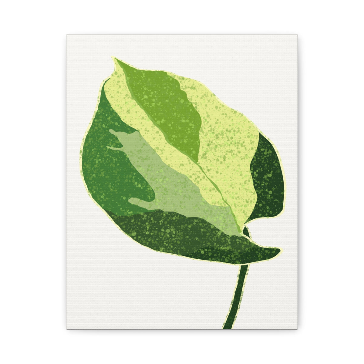Manjula Pothos Illustrated Canvas Print – Botanical Wall Art, view 9