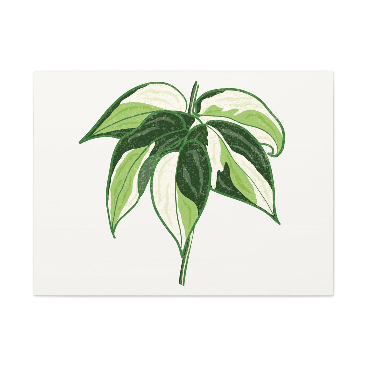 Philodendron Cream Splash Canvas Print – Botanical Wall Art, view 6