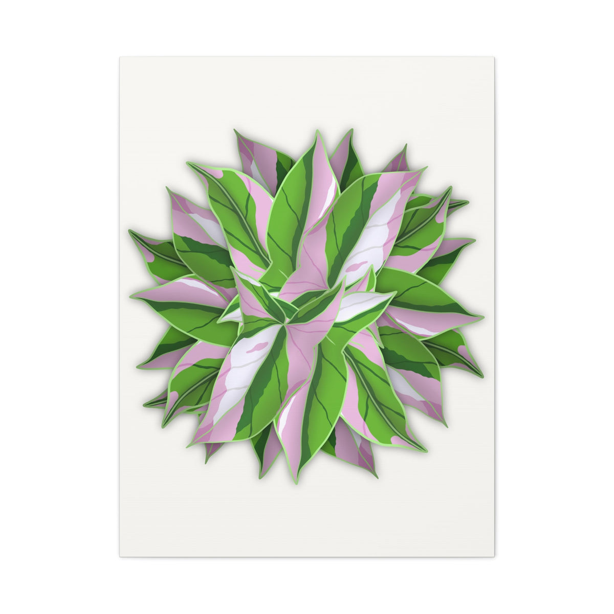 Syngonium Tricolor Pattern Canvas Print – Botanical Wall Art, view 13