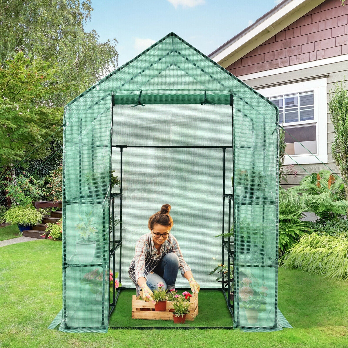 Walk-in Greenhouse 56 x 56 x 77 Inch Gardening with Observation Windows, view 6