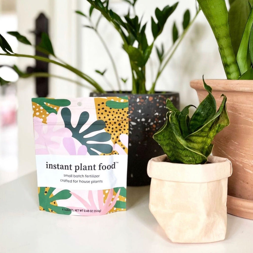Instant Plant Food Tablets – 2 Pouches (4 Tablets per Pouch) - Plant Fertilizer for HOUSEPLANTS, view 8