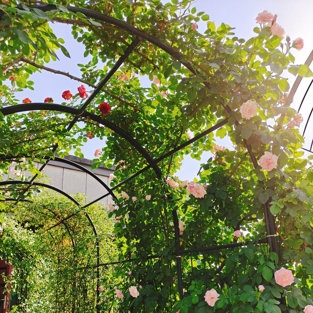 Metal Garden Arch with Two Plant Stands, view 10