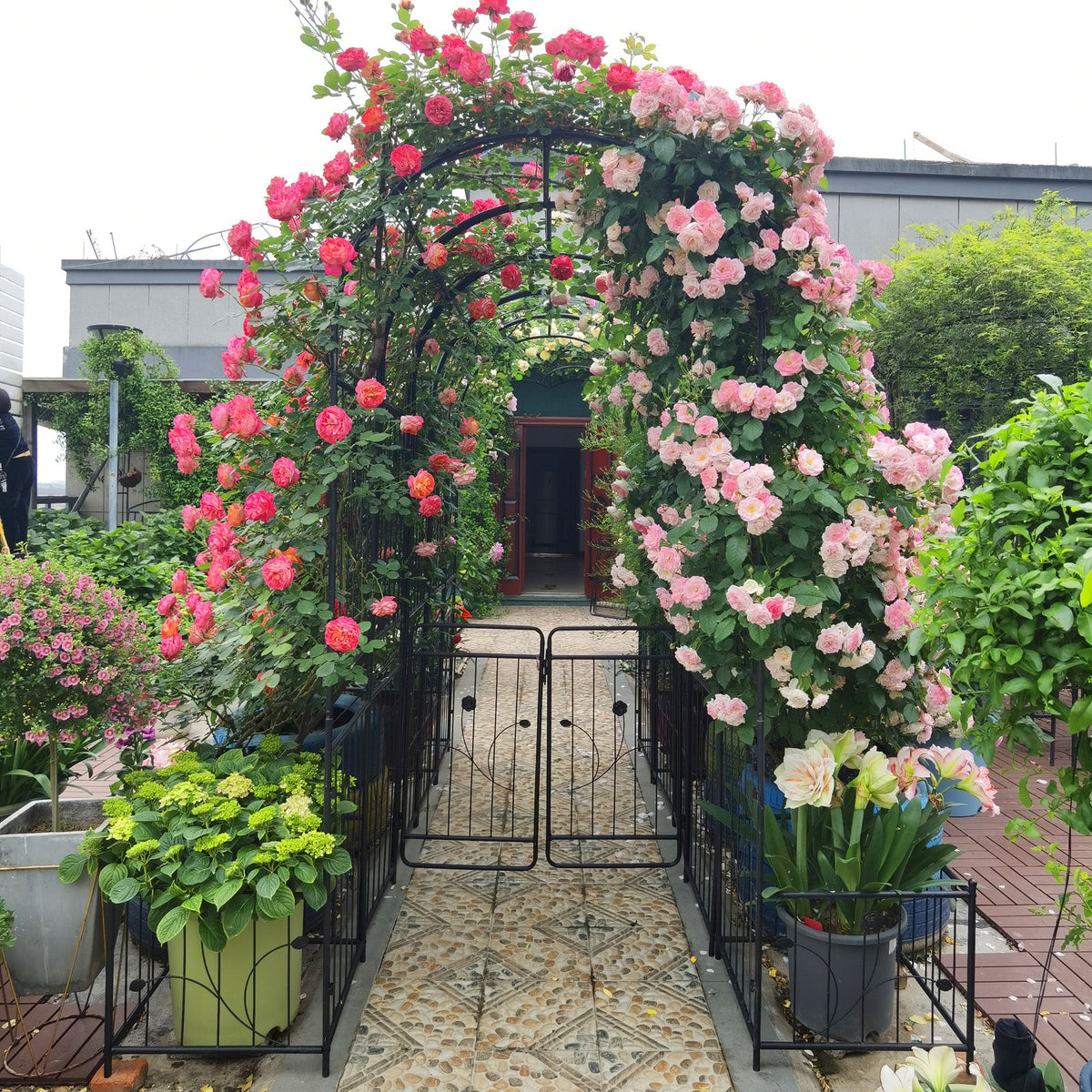 Metal Garden Arch with Two Plant Stands, view 9
