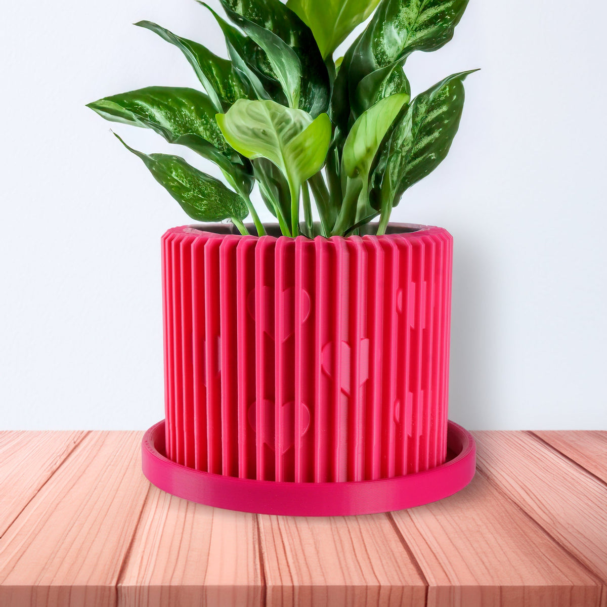 Modern Heart-Shaped Planter with Drainage & Saucer – Unique Valentine’s Day Gift for Plant Lovers, 3d, view 3