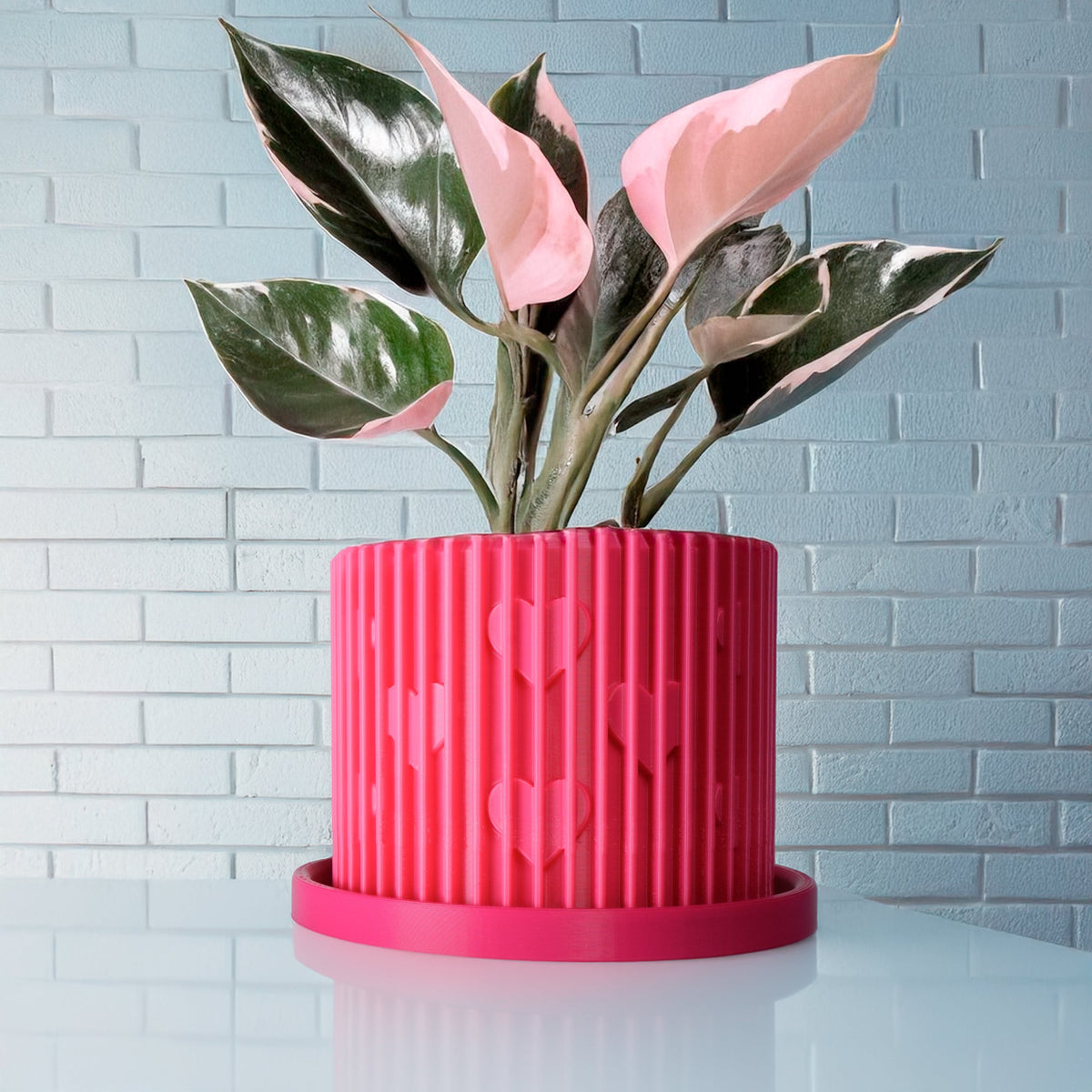 Modern Heart-Shaped Planter with Drainage & Saucer – Unique Valentine’s Day Gift for Plant Lovers, 3d