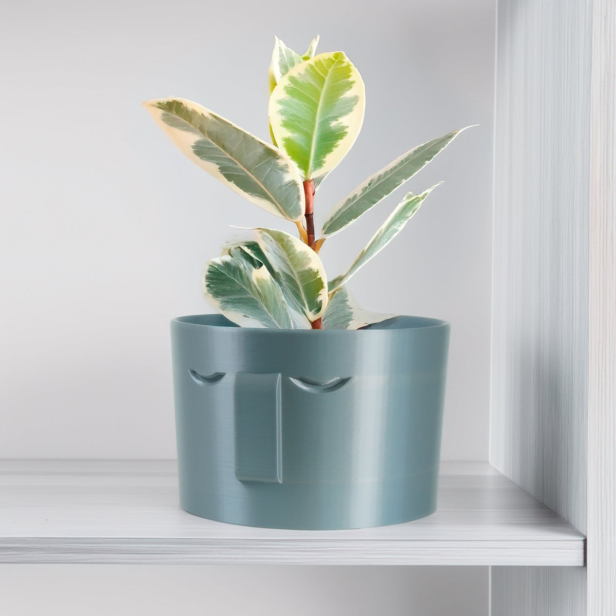 Minimal Face Planter, Small Medium Large, With Drip Tray and Great Drainage, view 5