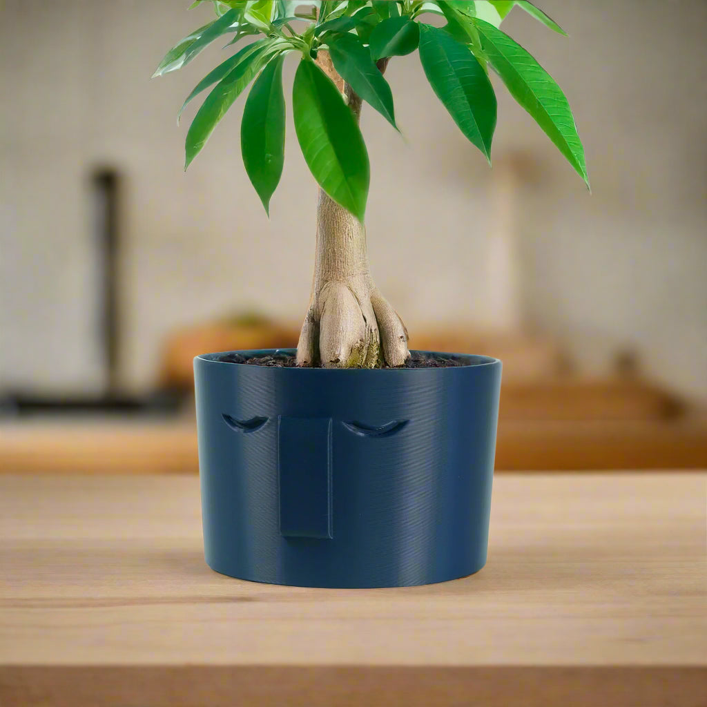 Minimal Face Planter, Small Medium Large, With Drip Tray and Great Drainage, view 6