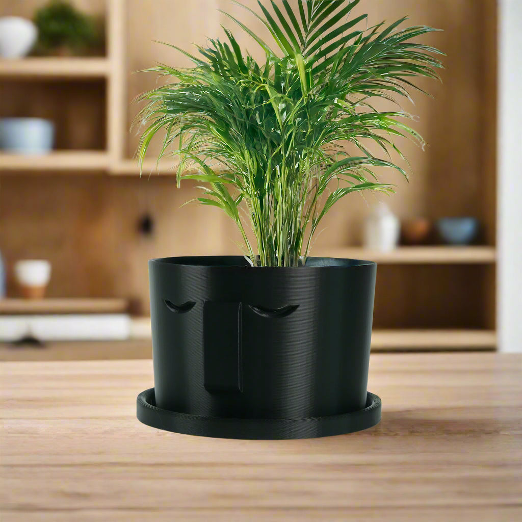 Minimal Face Planter, Small Medium Large, With Drip Tray and Great Drainage, view 9