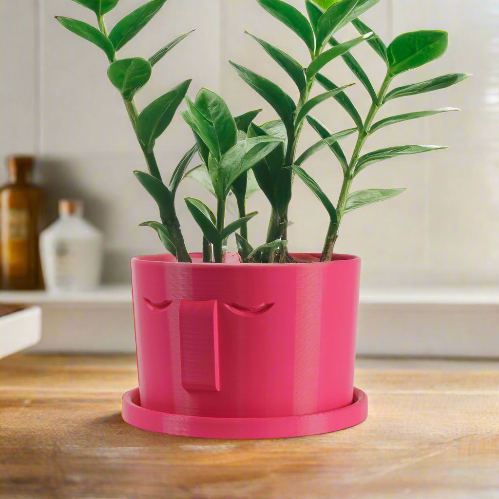 Minimal Face Planter, Small Medium Large, With Drip Tray and Great Drainage, view 7