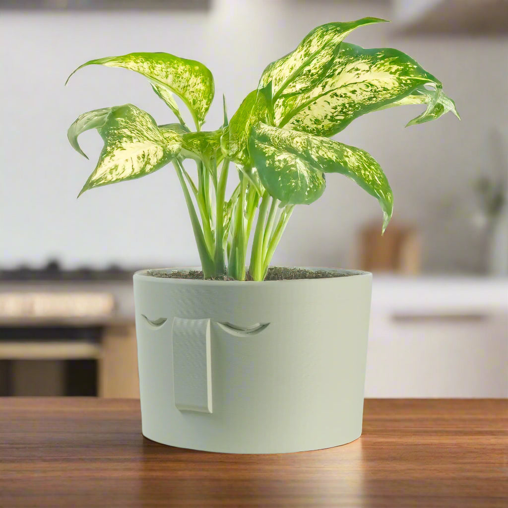 Minimal Face Planter, Small Medium Large, With Drip Tray and Great Drainage, view 3