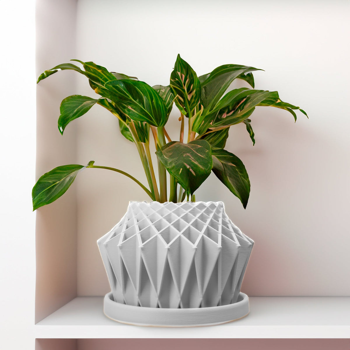 Galaxy Groove Plant Pot, view 4