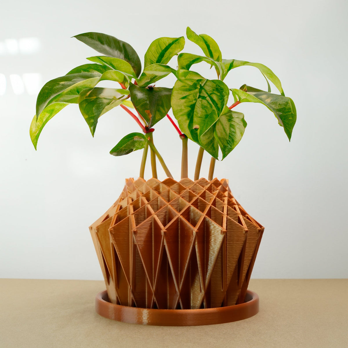 Galaxy Groove Plant Pot, view 2
