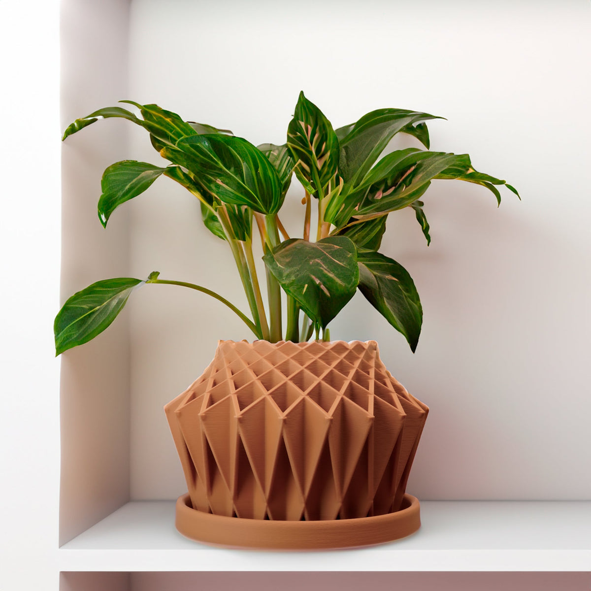 Galaxy Groove Plant Pot, view 14