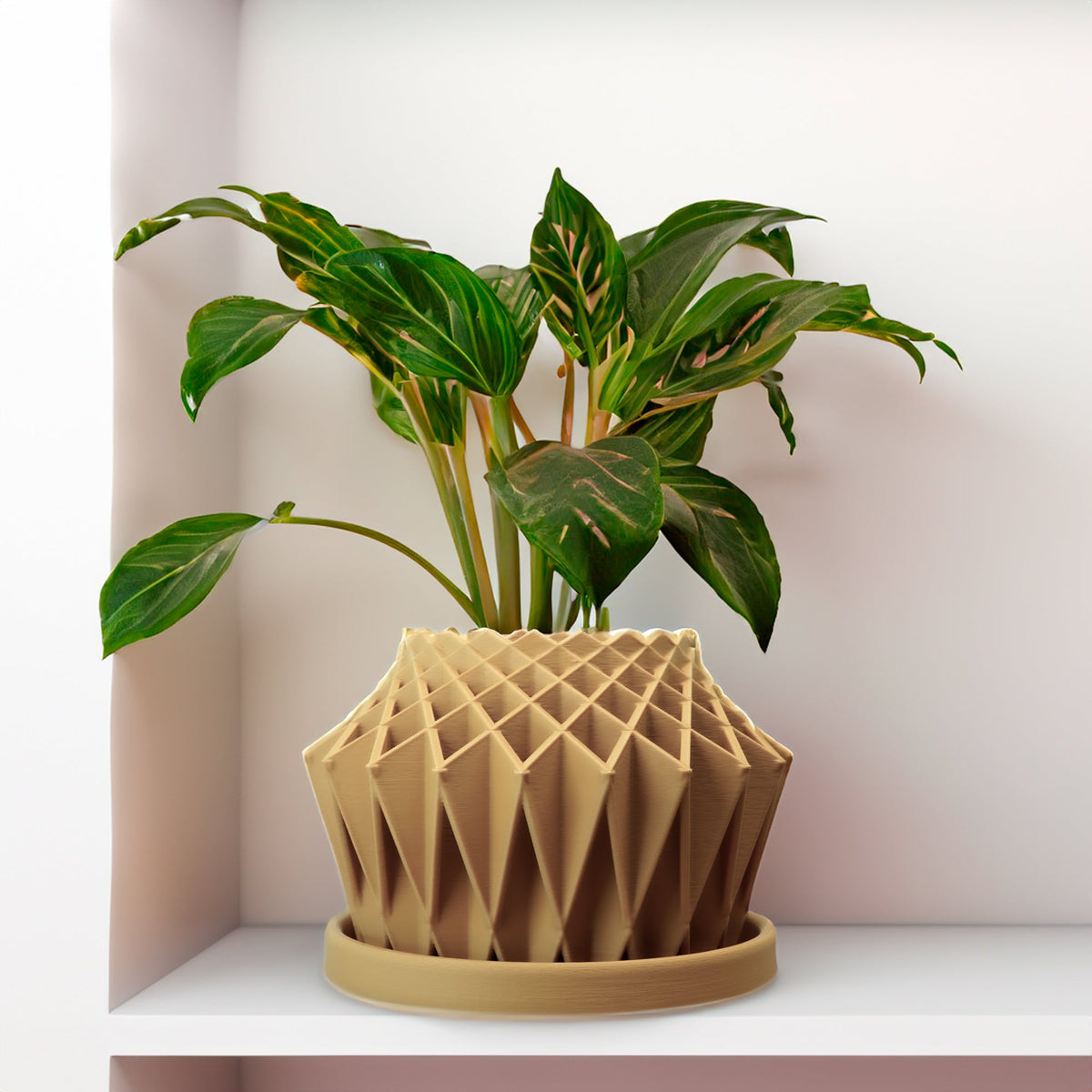 Galaxy Groove Plant Pot, view 15