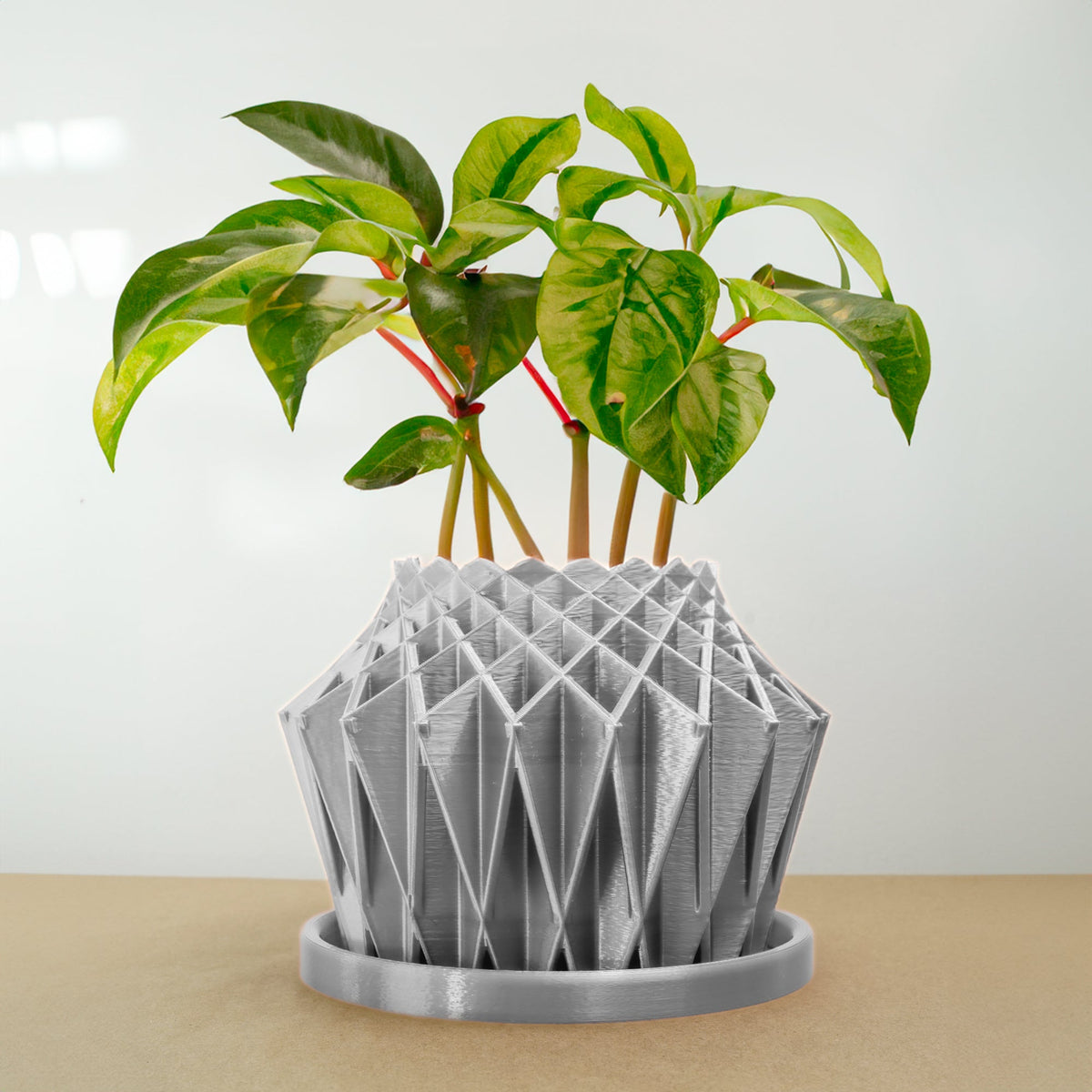 Galaxy Groove Plant Pot, view 8