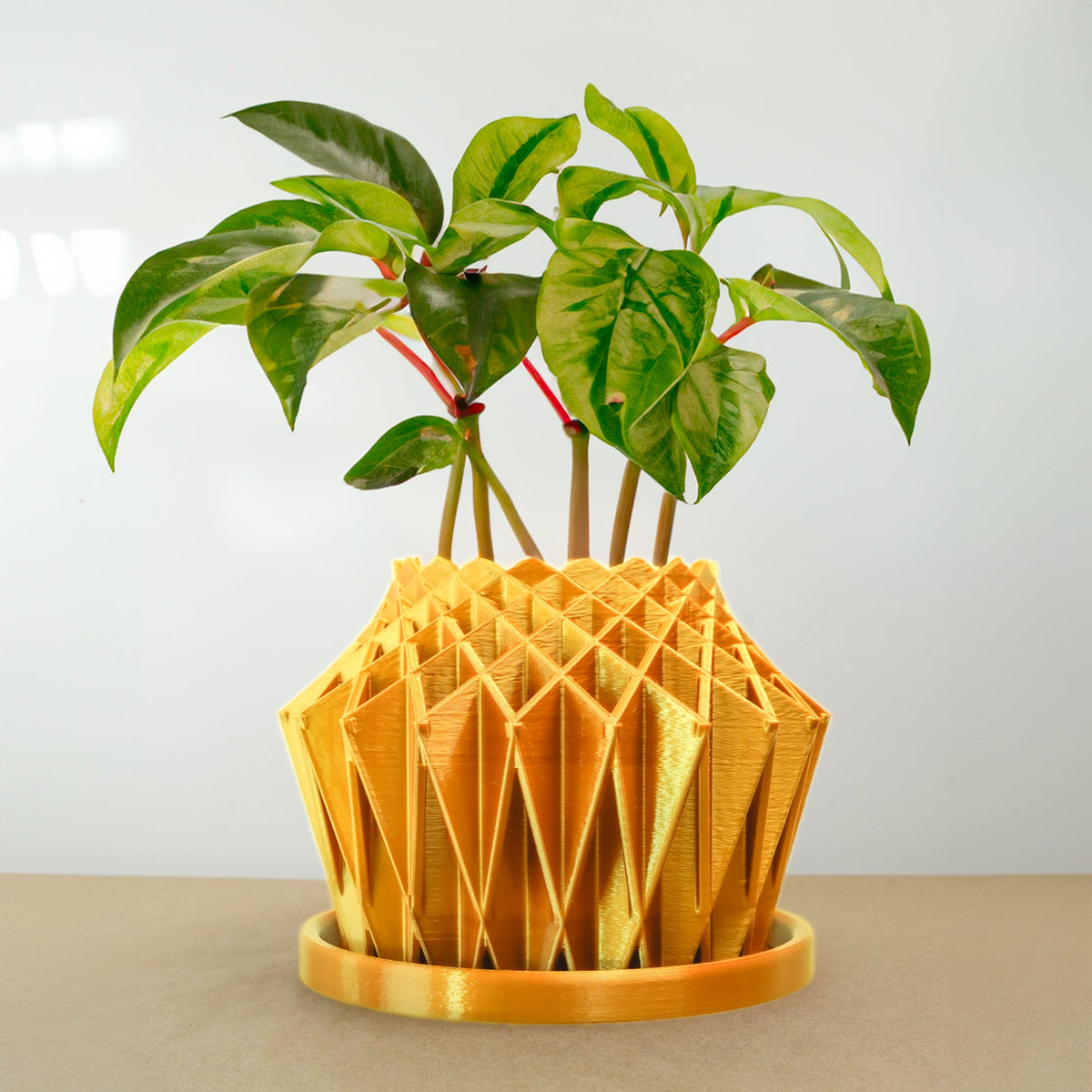 Galaxy Groove Plant Pot, view 9