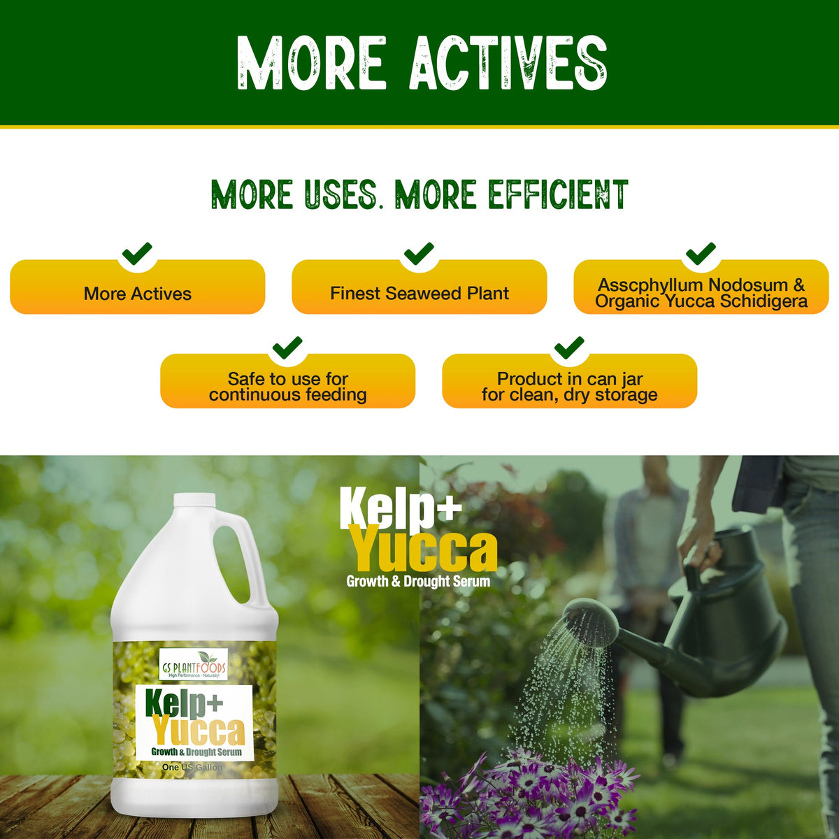 Kelp + Yucca – Soil Moisture & Root Enhancer | GS Plant Foods, view 7