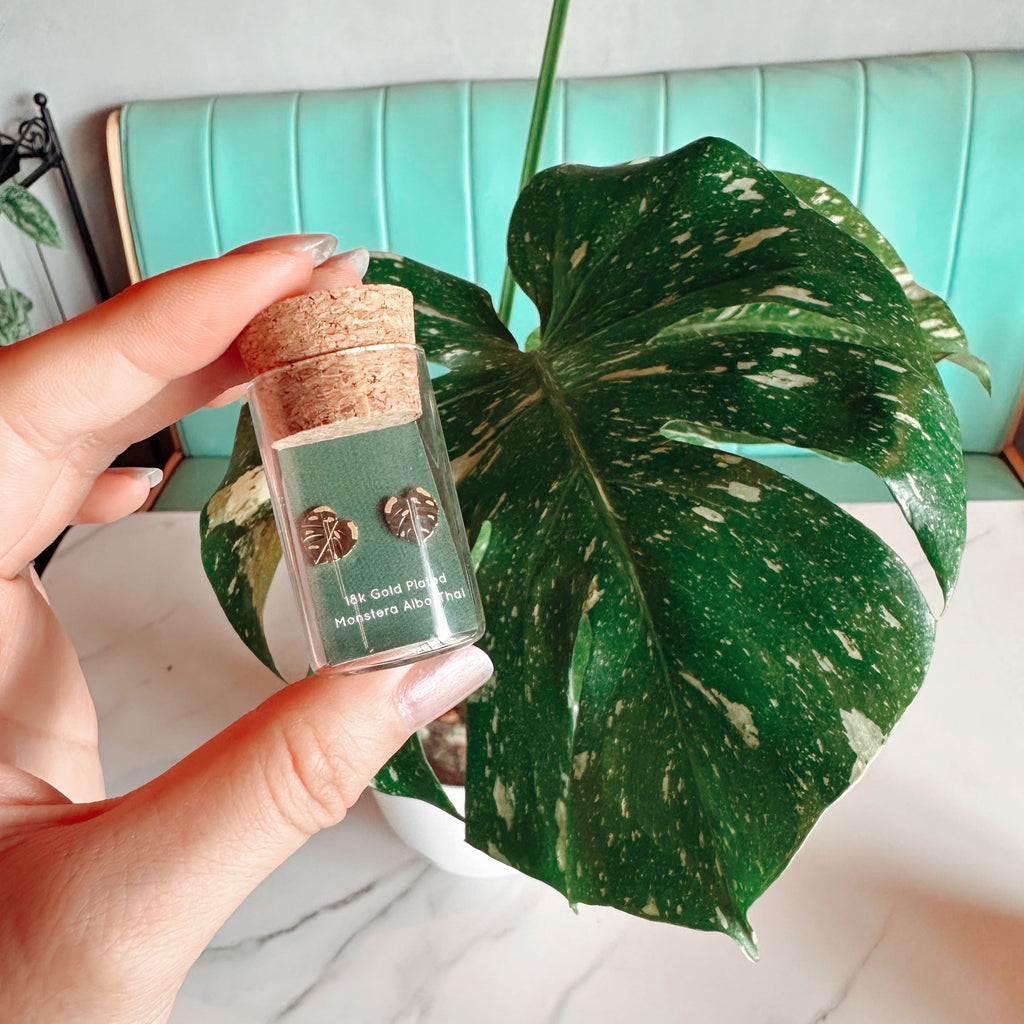 Monstera Albo/Thai Metal Stud Earrings, view 2