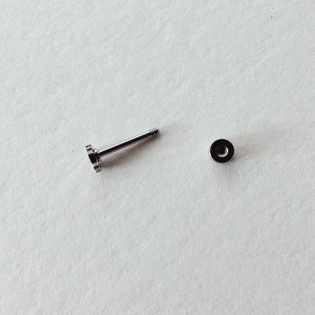 Flat Back- Teeniest Tiniest Monstera Deliciosa Earring Studs, view 9