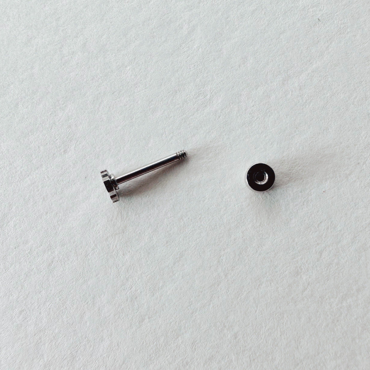 Flat Back- Teeniest Tiniest Monstera Deliciosa Earring Studs, view 9