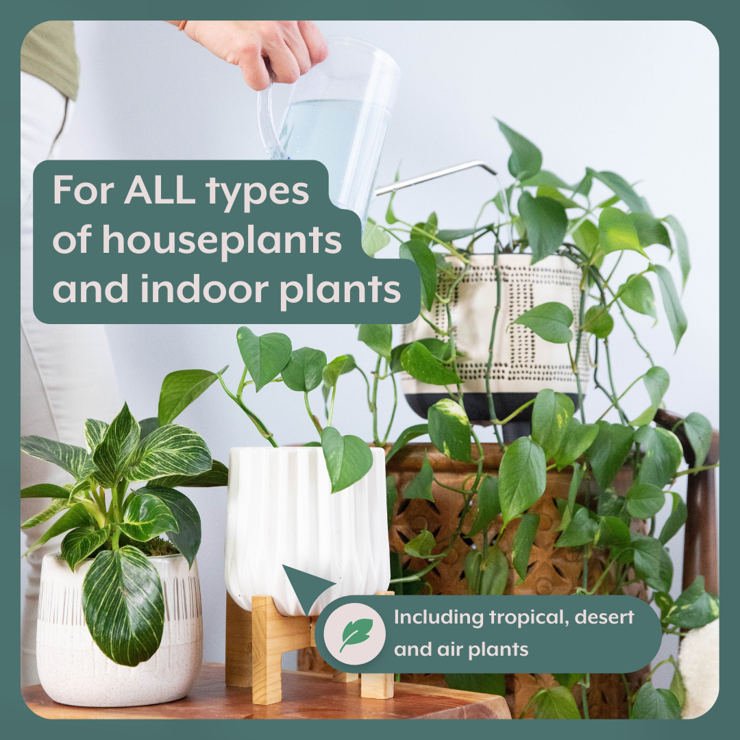 The Houseplant GROW Bundle (Plant Food + ProBiotics + Watering Can), view 2