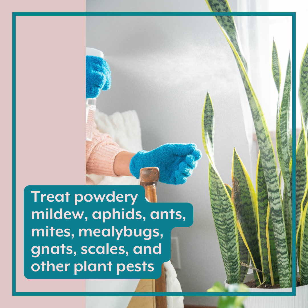 The Complete Plant Care Bundle (Plant Food + ProBiotics + Natural Pest Control) for HOUSEPLANTS, view 4