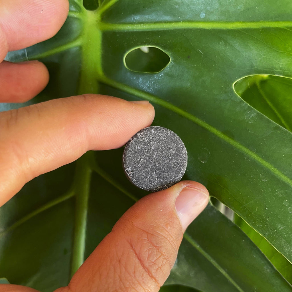 Instant Plant Support Tablets – 2 Pouches (4 Tablets per Pouch) - Plant ProBiotics for HOUSEPLANTS, view 2