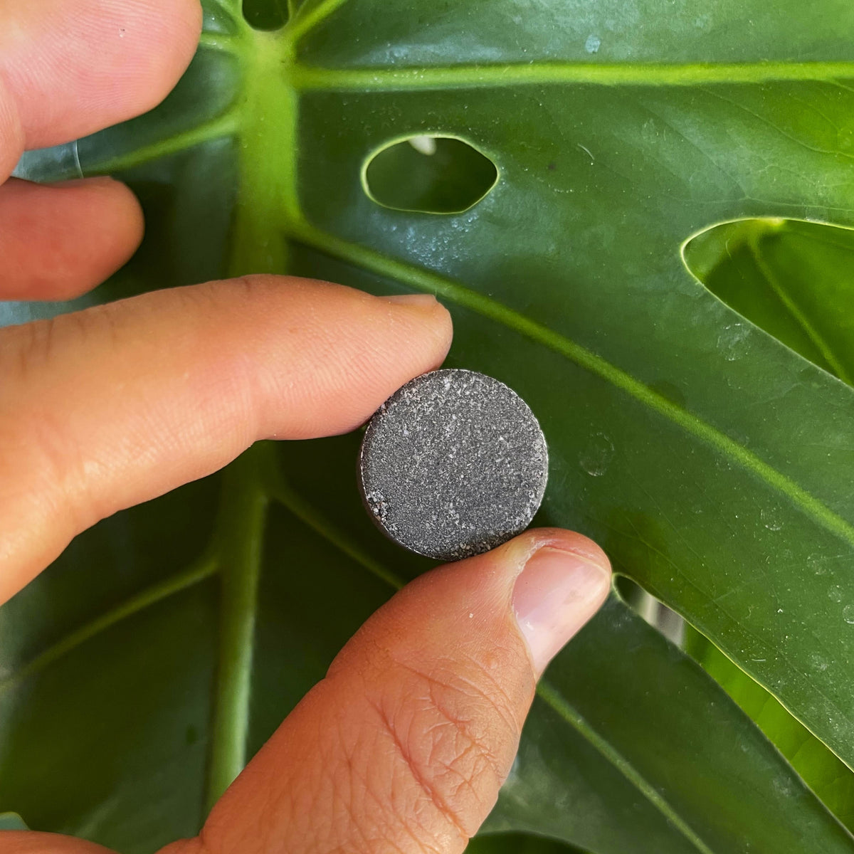 Instant Plant Support Tablets – 2 Pouches (4 Tablets per Pouch) - Plant ProBiotics for HOUSEPLANTS, view 2