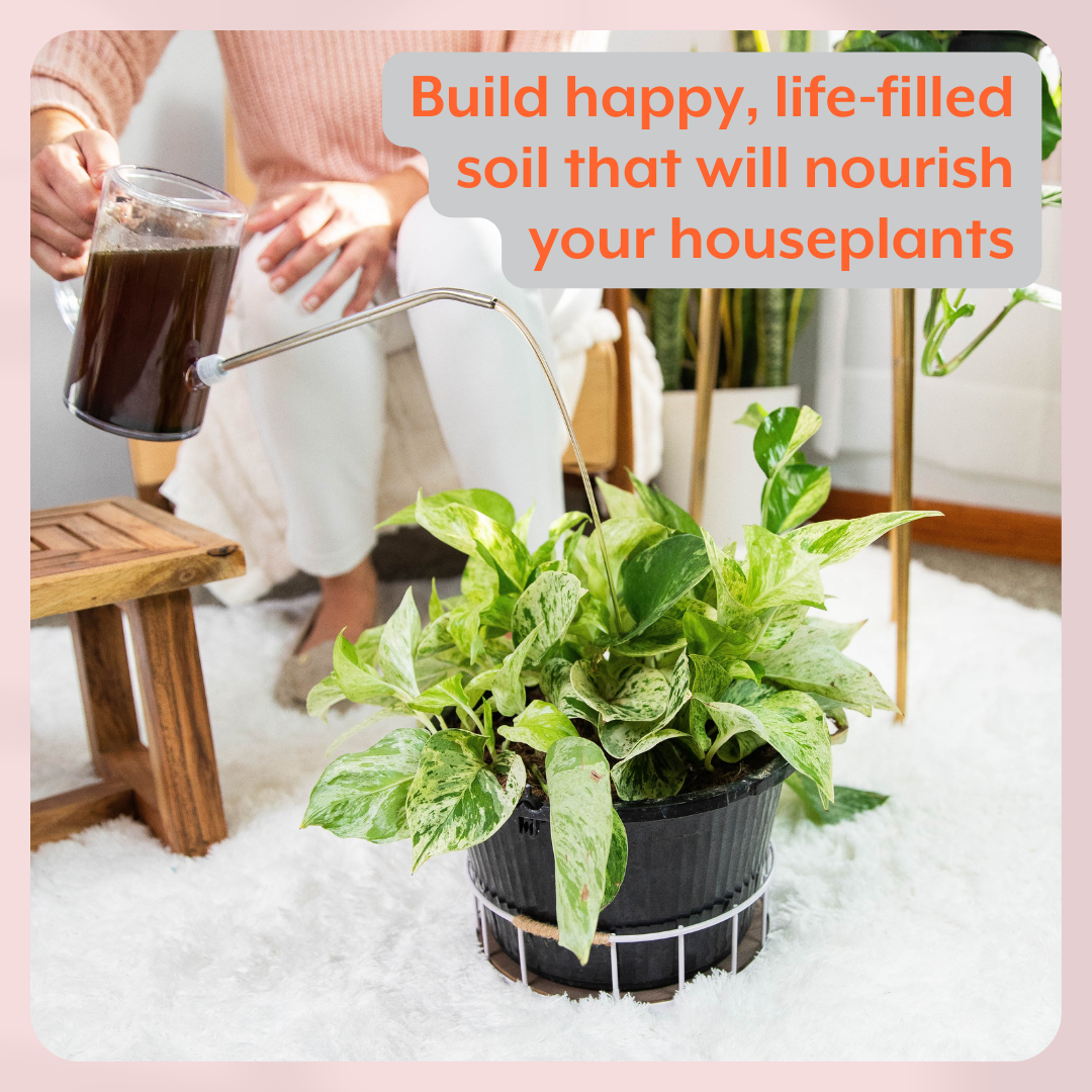 The Thrive Bundle (Plant Food + Probiotics) for HOUSEPLANTS, view 3