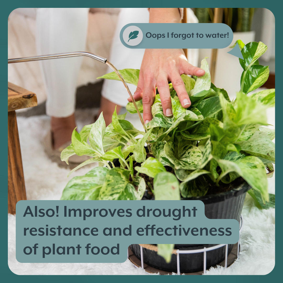 The Houseplant GROW Bundle (Plant Food + ProBiotics + Watering Can), view 5