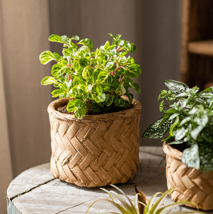 Bamboo Looking Cement Planter, view 2