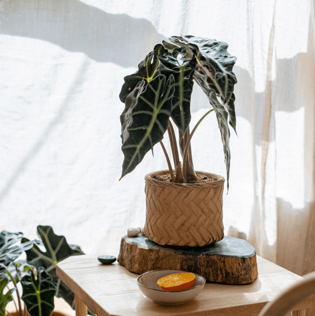 Bamboo Looking Cement Planter, view 5