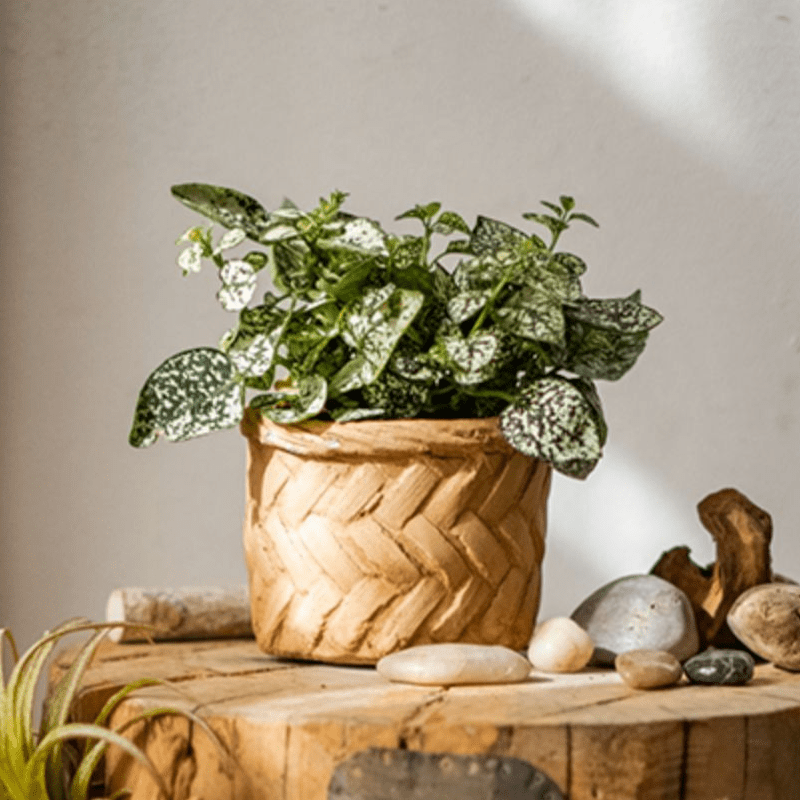 Bamboo Looking Cement Planter, view 8