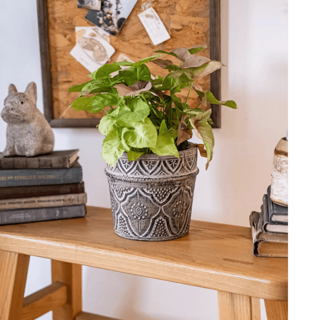 Classic Element Art Planter Clay Flowerpot, view 3