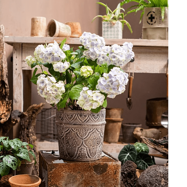 Classic Element Art Planter Clay Flowerpot, view 5