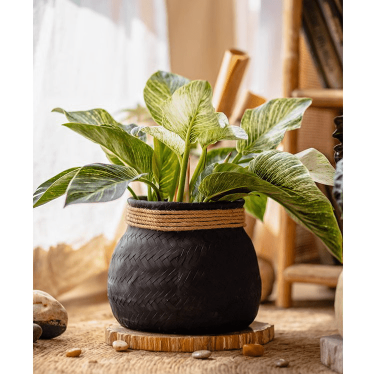 Faux Bamboo Woven Cement Planter, view 10