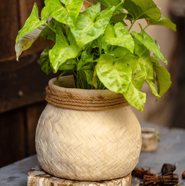 Faux Bamboo Woven Cement Planter, view 11