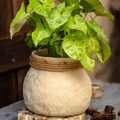 Faux Bamboo Woven Cement Planter, view 11