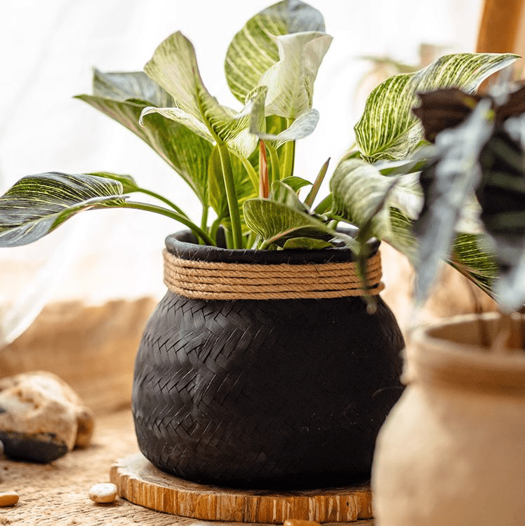 Faux Bamboo Woven Cement Planter, view 5