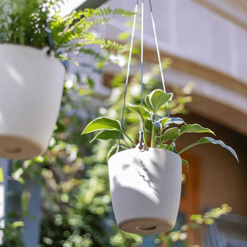 Modern Resin Hanging Planter for Artificial Plants, view 10
