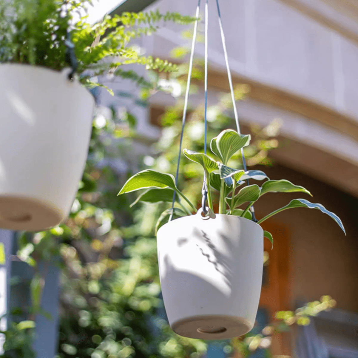 Modern Resin Hanging Planter for Artificial Plants, view 10