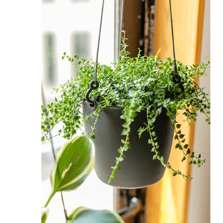 Modern Resin Hanging Planter for Artificial Plants, view 2