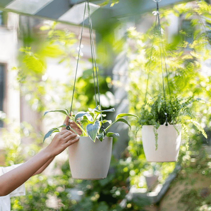 Modern Resin Hanging Planter for Artificial Plants, view 6