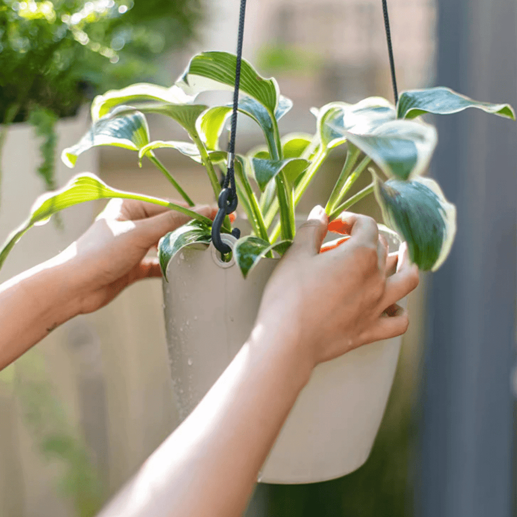 Modern Resin Hanging Planter for Artificial Plants, view 7