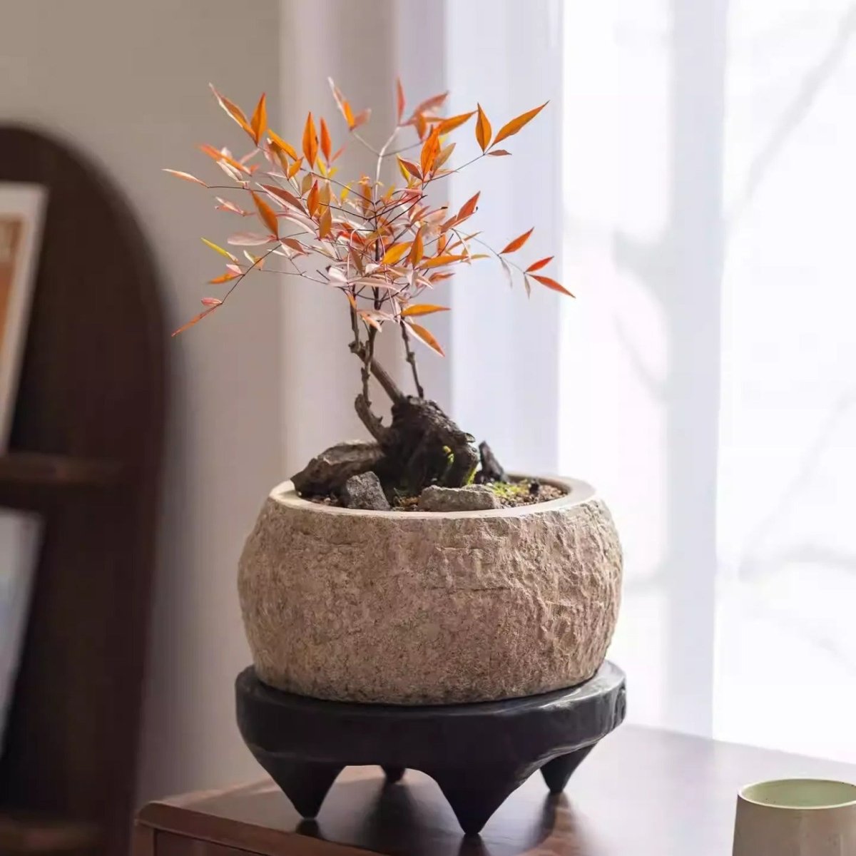 Mesa Cement Pot Planter, view 2