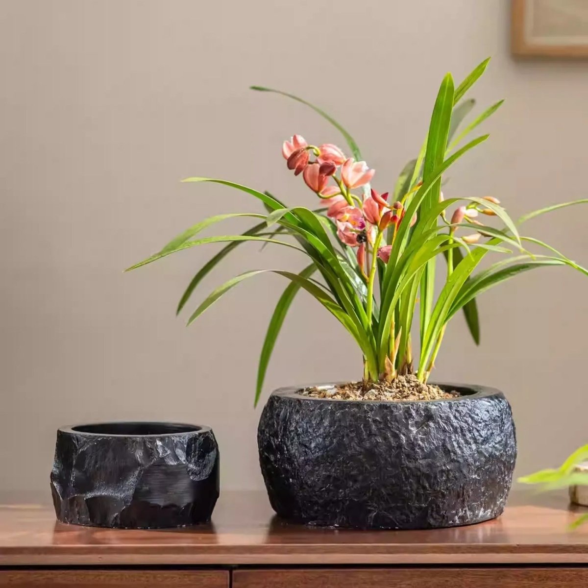 Mesa Cement Pot Planter, view 3