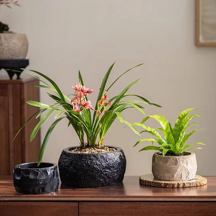 Mesa Cement Pot Planter, view 5