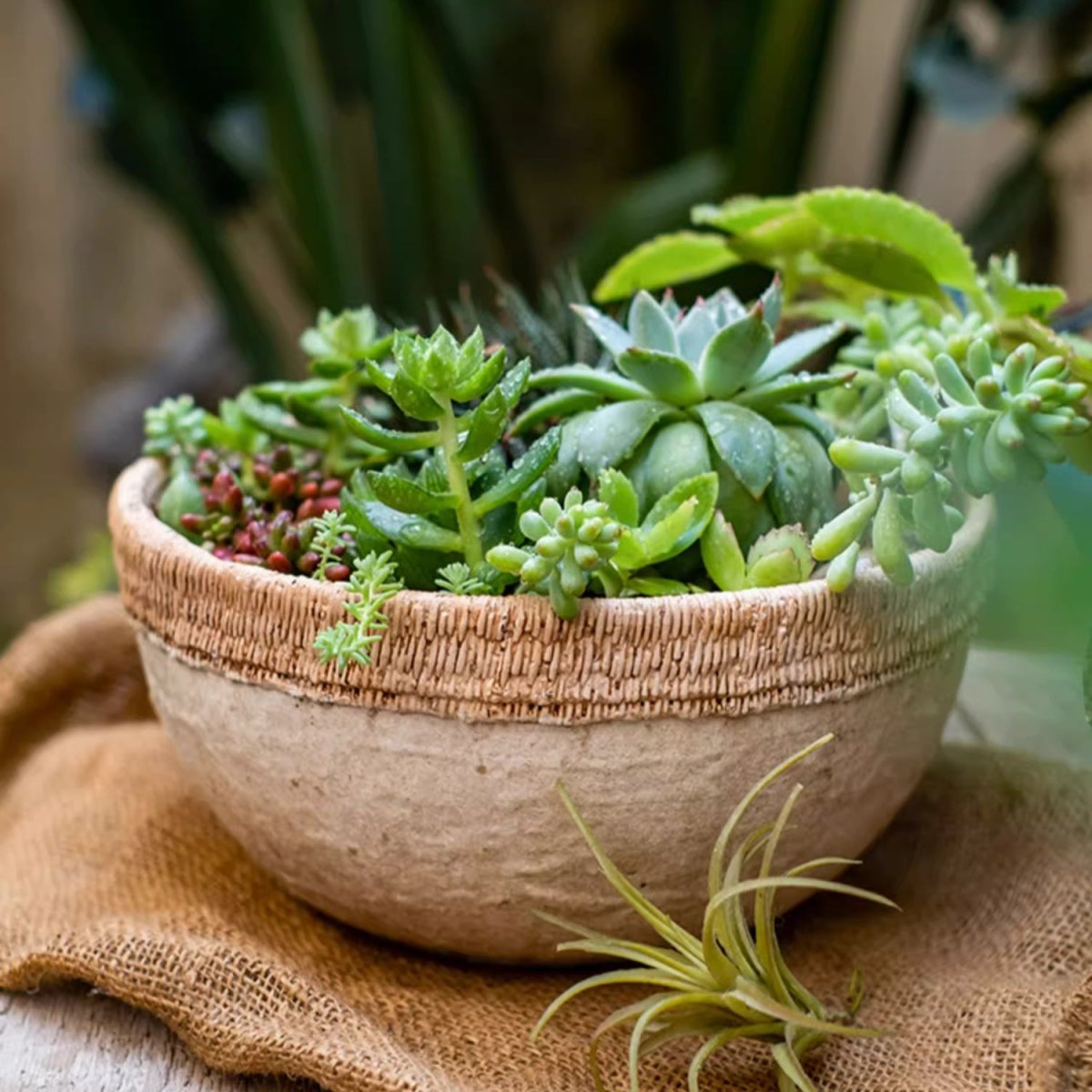 Rattan Pattern Edge Cement Planter, view 2